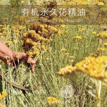 ������ |�M���ЙC���û��η����� ���l