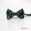 Fashionable bow tie, 2022, internet celebrity