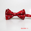 Fashionable bow tie, 2022, internet celebrity