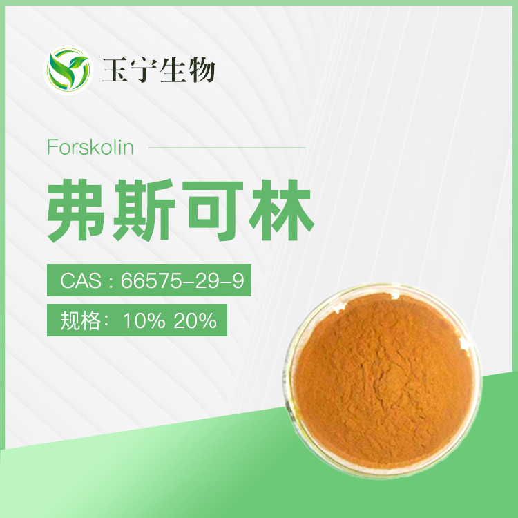 弗斯可林 10% 20% 毛喉鞘蕊花提取物