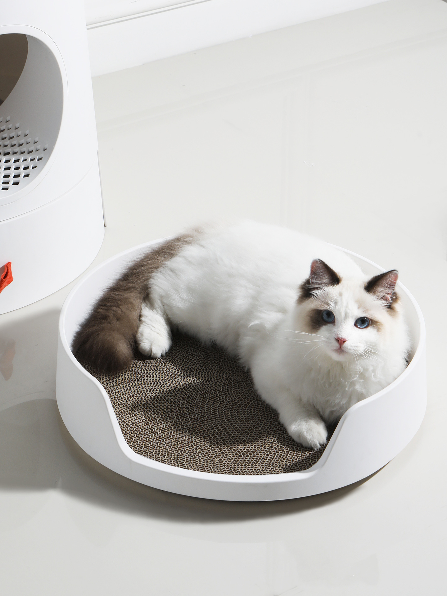 보조 고양이 쓰레기 (보조 고양이 스크래치 보드)