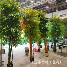 ��������ӹ����Ƽ������~���L�쾰�Ƶ껨�@�b����ϾGֲ������