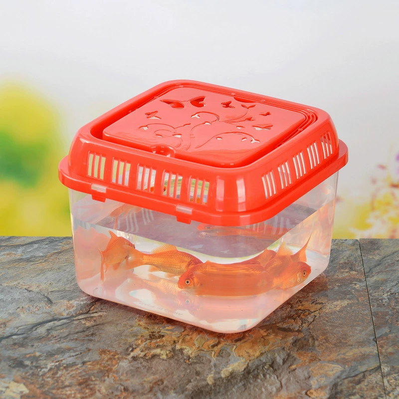 Plastic aquarium, wholesale