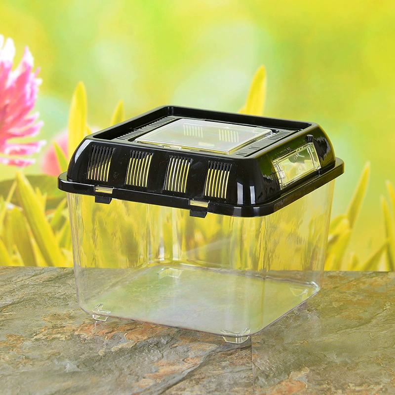 Plastic aquarium, wholesale