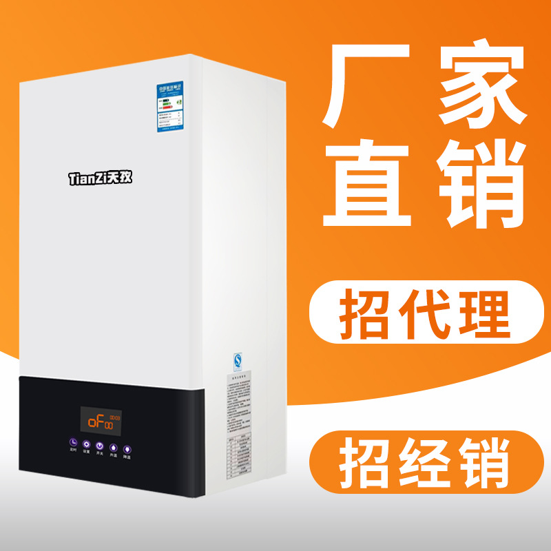 双回路家用天然气壁挂炉洗浴采暖炉地暖热水炉燃气节能高效热水器