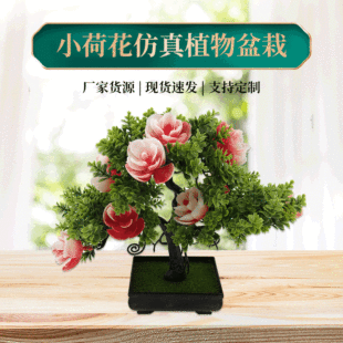 �������Լٻ�����С�ɻ�С�辰����GֲС�[���羳؛Դ