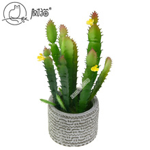 �¿������������С̖�����������ٶ���ֲ��΢���^������������