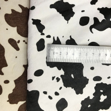 SҹӺţRëƤ ƤVRƤɫx F؛