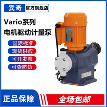 ProMinent�������ر�Varioϵ�е��������ҩ��PVDFģ�����źű�