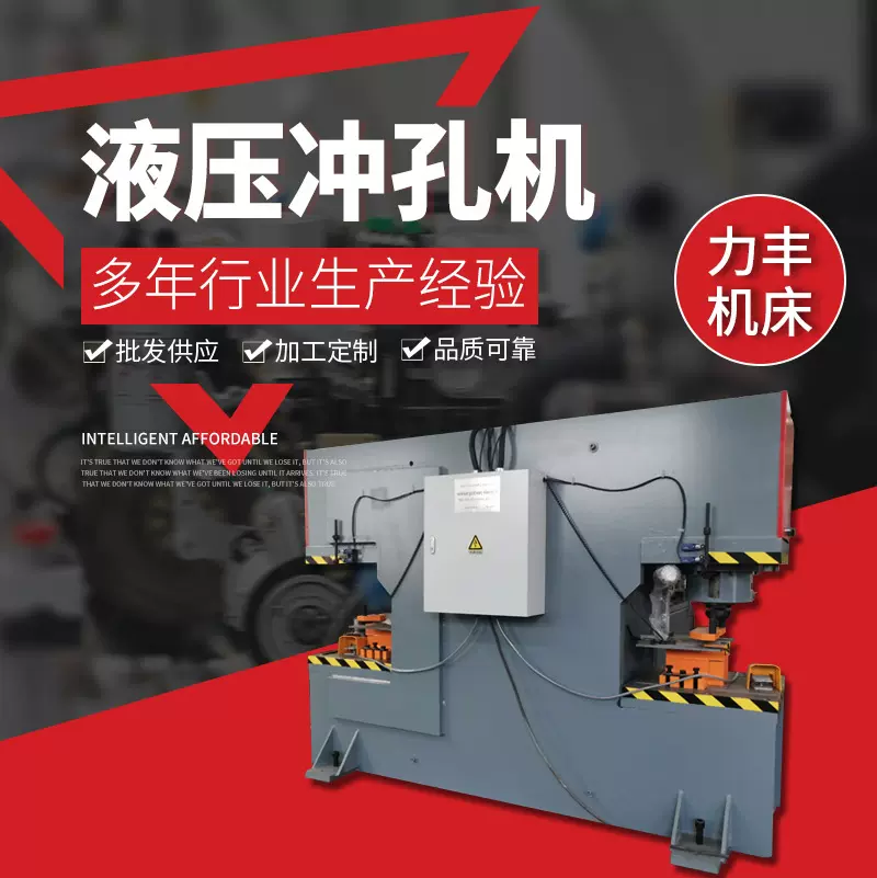 不锈钢液压冲孔机多功能角钢槽钢冲孔剪切机液压打孔机