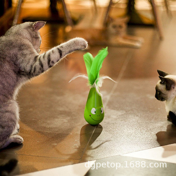 ��������������Ʒ��ë�����̵綯è������è�綯�������