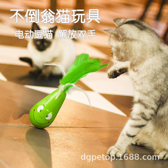 ��������������Ʒ��ë�����̵綯è������è�綯�������