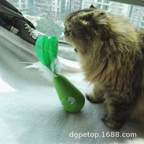 ��������������Ʒ��ë�����̵綯è������è�綯�������