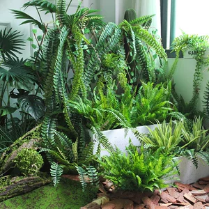 Моделирование Jueye Fern Plant Pseudo -pseudo -Grass Green Leaf Flower Floral Floating Forage Утренние пейзажи