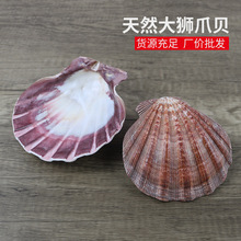 ���l��{צؐ���к�����ؐ������diy�L�������~���b[����ˇƷ