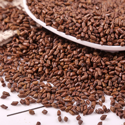 Wholesale bulk ripe cassia seed tea, children's toys sand pool raw cassia seed, available pillow core cassia seed