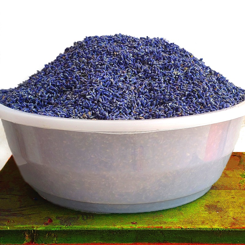 新疆薰衣草散装 香包玩具枕头填充薰衣草干花粒义乌现货批发