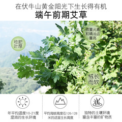 Mugwort Pure Water Mist, Natural Toner, Hydrating, Brightening, Dark Circle Relief, Nourishing Facial Oil, Mugwort Essential Oil