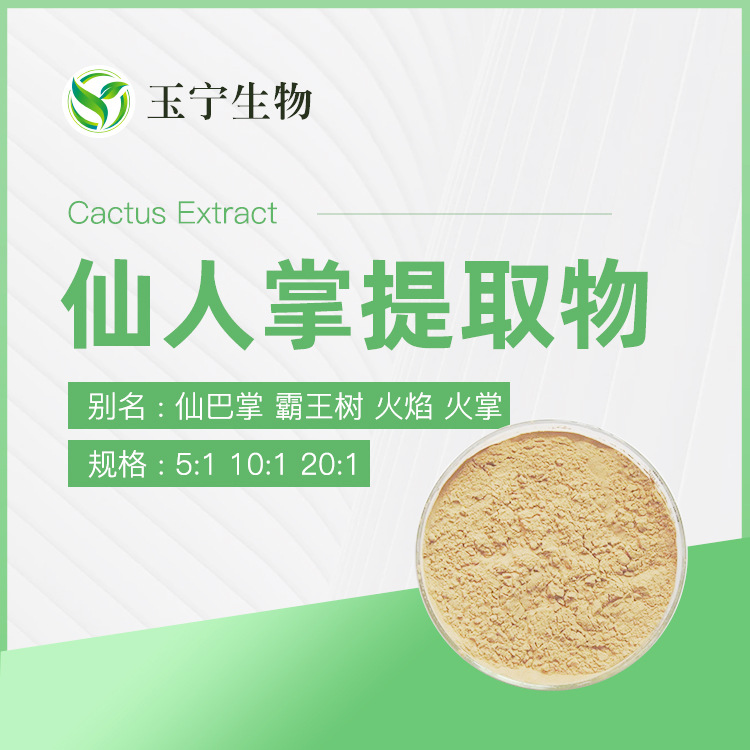 仙人掌提取物 黄酮  5:1 10:1 20:1 30：1