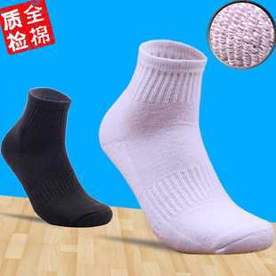 ��ʿ�\���m���޼���Ͳë���׼�ɫ�Ӻ�ëȦ�m ͸������@���m