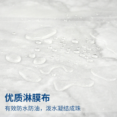 Sanheng Yishu Beauty Salon Massage Shop Foot Care Sauna Care Mattress Single Thickened Waterproof and Oilproof Bed Sheet 