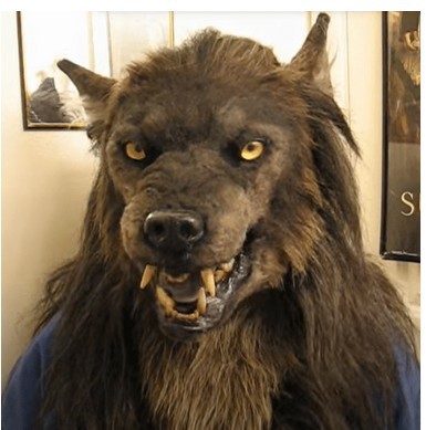 Águila máscara águila cabeza cubierta Halloween simulación animal Bulldog loro viejo y joven cabeza cubierta máscara