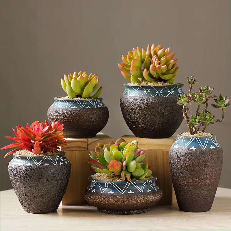 Fleshy flowerpot stoneware breathable large diameter retro old pile green plant meat ceramic small pot flower pot container flower