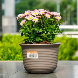 仿瓷花盆塑料园艺创意花盆厂家批发PP树脂种植盆办公室多肉花盆
