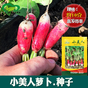 С����Ĵָ�}���N�� �r��˵ؿ����ԼtƤ����Ƥ�������}���߲���