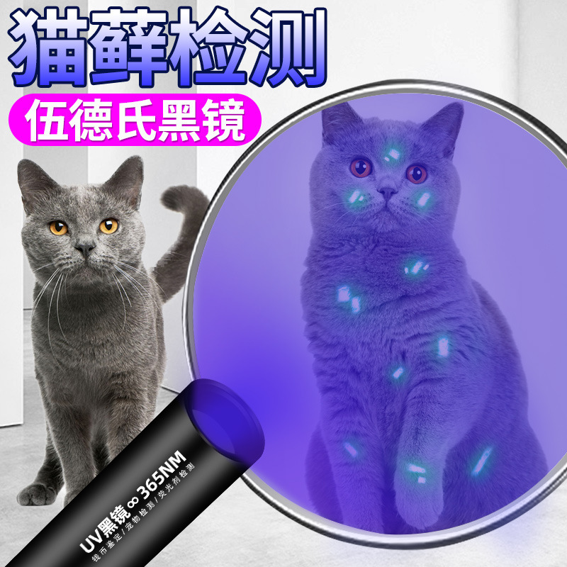 Wood's lamp shines on cat moss urine ringworm fungus detection flashlight ultraviolet 365nm violet detector lamp