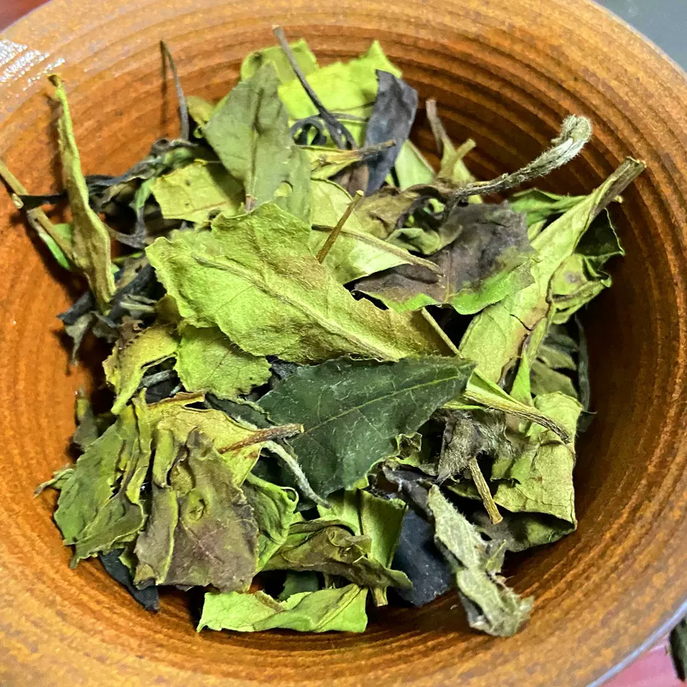 2021年 春寿眉散茶福建白茶高山纯日晒清香浓厚甘甜茶叶 厂家直批