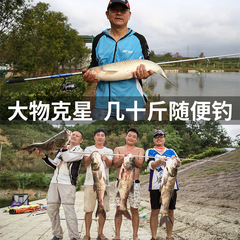 活麗蠻王海竿套裝海釣竿全套碳素釣魚竿拋竿超硬遠投