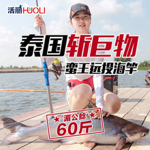 活丽蛮王海竿套装海钓竿全套碳素钓鱼竿抛竿超硬远投