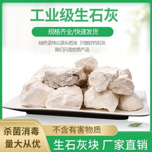 �S�����l���Bʩ���~�������������������}������ʯ�Ҹ��}����