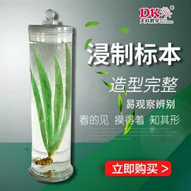 生物教学器材;教学仪器;实验室仪器