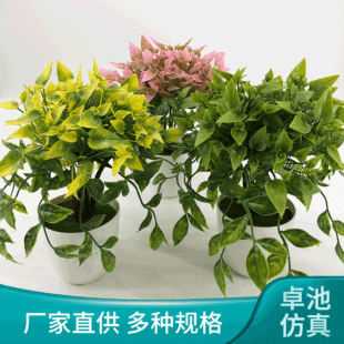 �R�㴹������ֲ�� ���ϼٻ����� �͏d�҃ȾGֲ�����辰���滨�[��