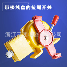 �p�����K�_�P����HFKLT2-IIƤ���C����ˮ�Ӿ��м�ͣ�_�P ��ƫ�_�P