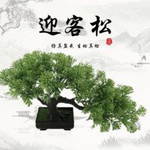 �S�ҹ��������ɘ� ���ɘ� ӭ�������� չ�d�Ƶ�[�ŷ����ɘ�����