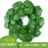 36 slices of begonia leaves (12 outfits)