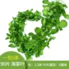 90 slices of begonia leaves (5 installations)