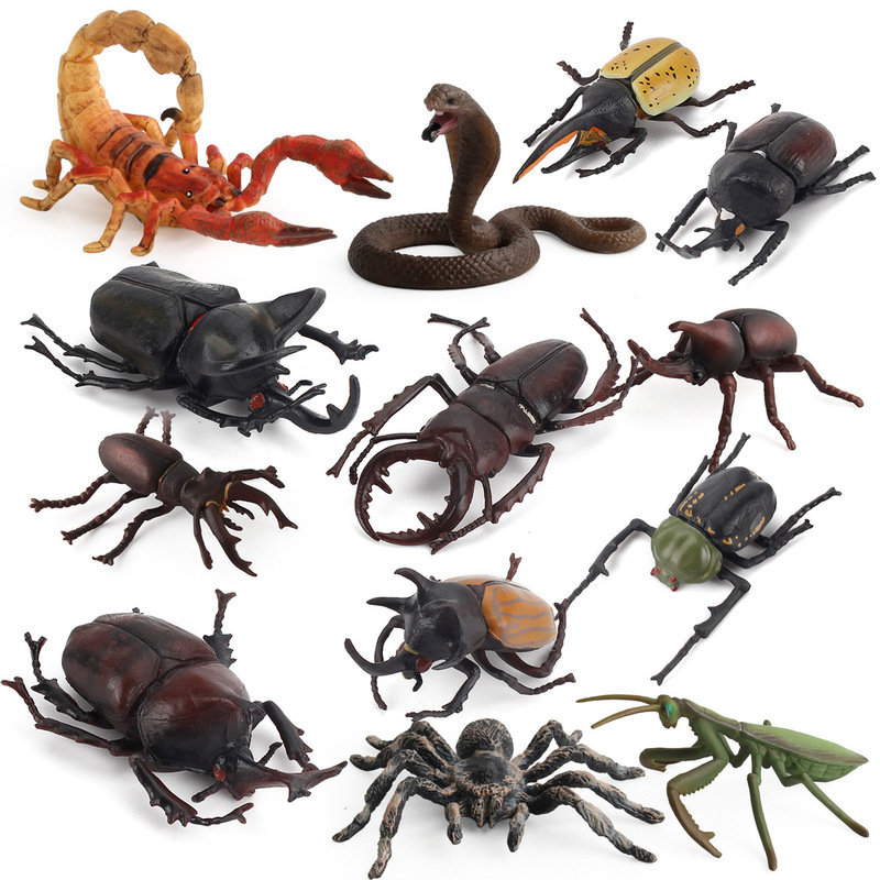Cross-Border Simulated Real Spider Insect Animal Model Cobra Mantis Beetle Sand Table Scene Ornaments Science and Education