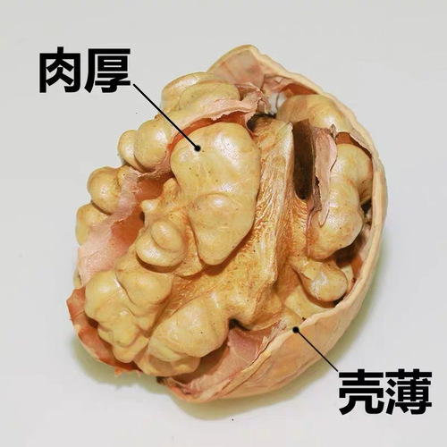 Wholesale Xinjiang walnuts 500g bags of new arrival thin-skinned walnuts 5kg whole box with paper-skinned walnut kernels for shipping