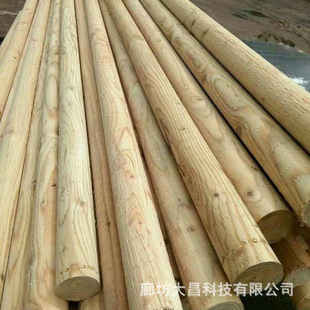 ��ľ֧�ΗU ����� ��ľ֧�μ� ֧���