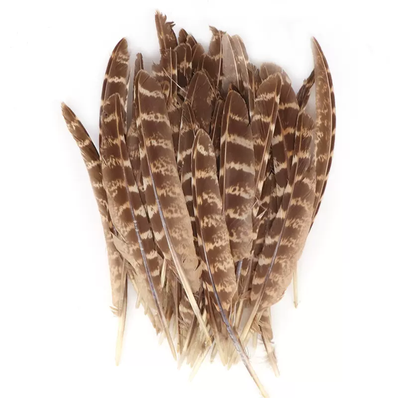 鸡毛批发母鸡刀翎15-20CM自然色鸡毛母鸡羽毛母山鸡野鸡毛