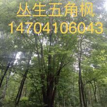 ��Ҏ������Ǘ� ������Ǘ��������� ��Ǘ��r�� �e��ͥԺ���x