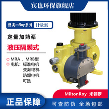 美国米顿罗mRoy系列液压隔膜计量泵MRB12-R19 R12 R10加药泵PVC