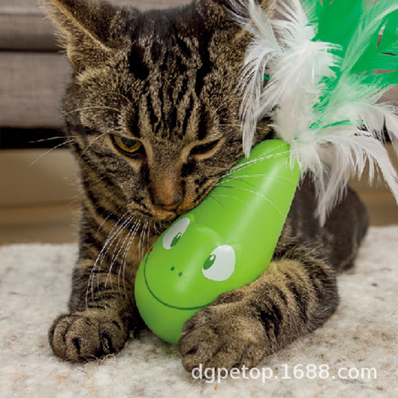 ��������������Ʒ��ë�����̵綯è������è�綯�������