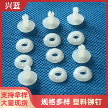 子母扣 塑料扣 塑料铆钉 文具扣 SN-01G SN-05G 装订扣 SN-00G