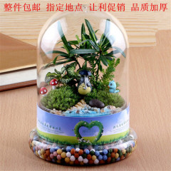 Eternal Flower Cover Creative DIY Transparent U-shaped Glass Cover Landscape Cover Decorative Cover Micro Landscape Vase Factory Direct Sales