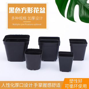 Gardening supplies succulent small black square pot black flower pot plastic succulent small black square flower pot factory flower pot wholesale